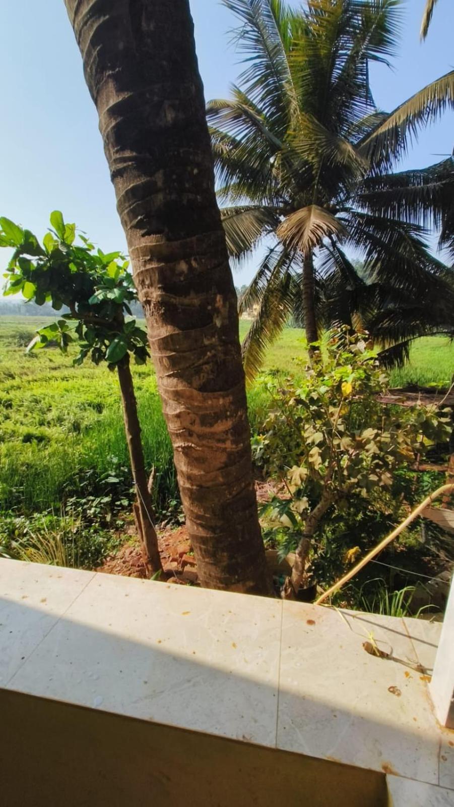 Green Field View Hotel แคนโดลิม ภายนอก รูปภาพ