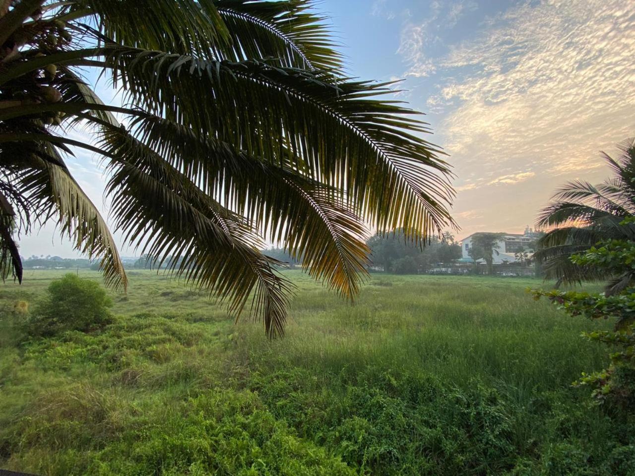 Green Field View Hotel แคนโดลิม ภายนอก รูปภาพ