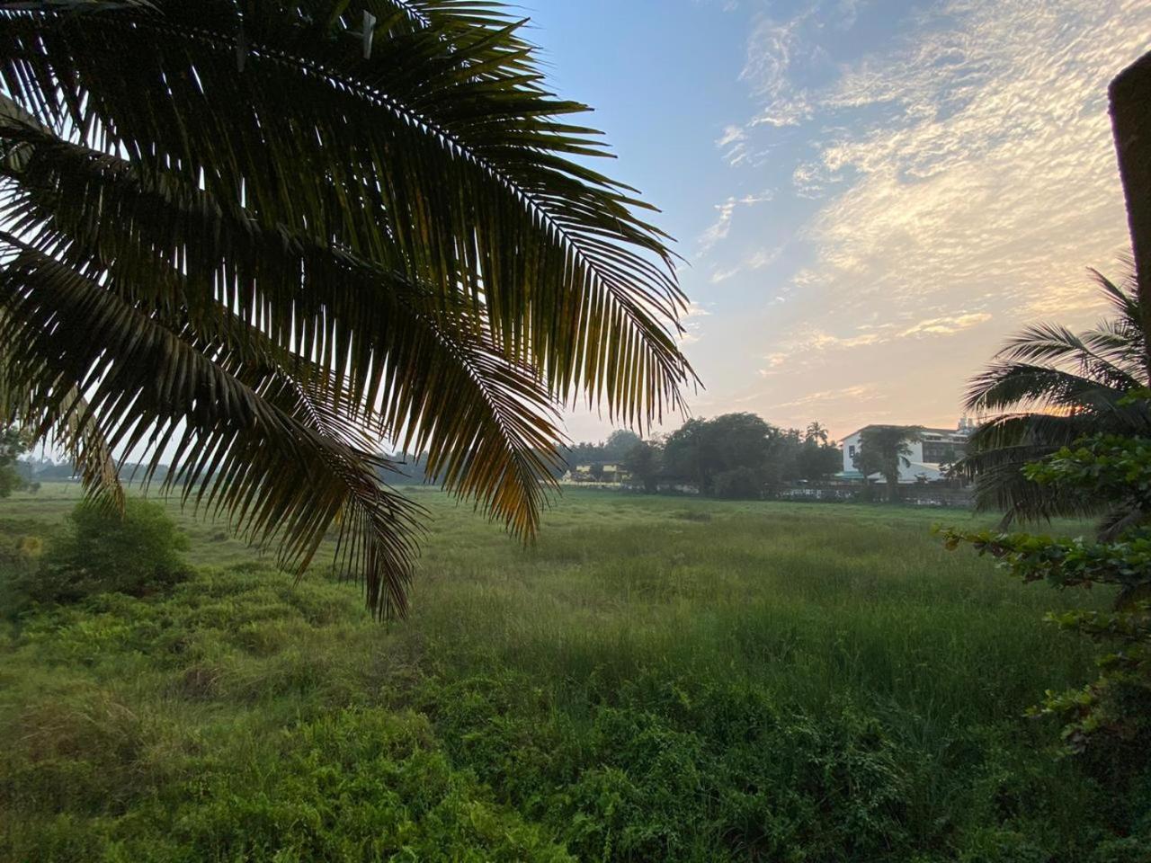 Green Field View Hotel แคนโดลิม ภายนอก รูปภาพ